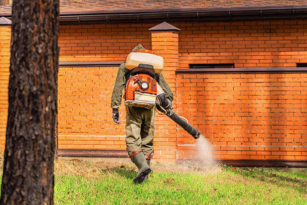 Trusted Cockroach Control service in Victory Lakes, NJ - Nex Pest Control